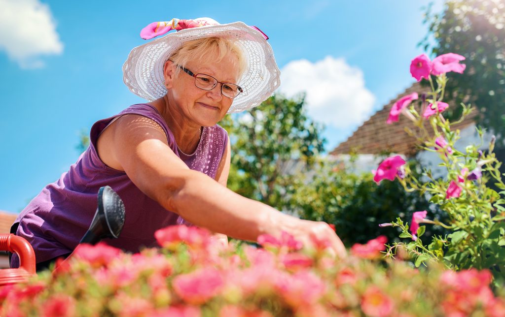 An older woman gardening among flowers on a bright day.
